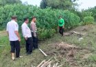 POLRESTA-SIDOARJO-I-Kolaborasi-Polisi-dan-Pemdes-Dorong-Ketahanan-Pangan-Lewat-Pemanfaatan-Pekarangan-Kosong-di-Desa-Cemengkalang