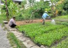 Inspirasi-Ketahanan-Pangan-dengan-Optimalisasi-Lahan-Kosong,-Warga-Banjarbendo-Tanam-Sayuran