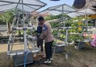 Swadaya-Mandiri-Warga-Mutiara-Citra-Asri-Kembangkan-Kebun-Hidroponik,-Polisi-Beri-Apresiasi