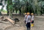Den-K9-Ditpolsatwa-Baharkam-Polri-Berhasil-Temukan-Satu-Korban-Bencana-Alam-di-Batang-Toru,-Sumatera-Utara