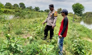 Bhabinkamtibmas-Desa-Dukuh-Sari-Bersama-Kelompok-Tani-Cek-Lahan-P2B,-Dukung-Ketahanan-Pangan-Nasional