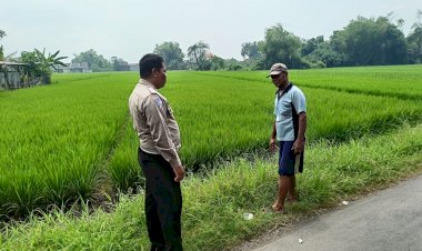 Polsek-Sukodono-Lakukan-Pengecekan-Ketahanan-Pangan-Program-P2B-di-Desa-Jumputrejo