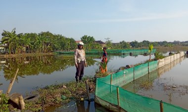 Polisi-Turun-Langsung-ke-Lahan-Tambak-Ikan-di-Kalidawir-Siap-Wujudkan-Ketahanan-Pangan-Nasional