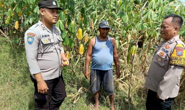 Kapolsek-Tarik-Maksimalkan-Peran-Bhabinkamtibmas-Dampingi-Warga-Gerakkan-Program-Ketahanan-Pangan