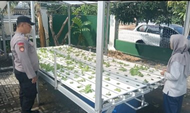 Bhabinkamtibmas-Balonggabus-Candi-Dukung-Ketahanan-Pangan-Lewat-Program-Hidroponik