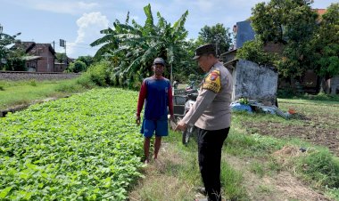 Motivasi-Ketahanan-Pangan,-Polisi-Cek-Perkembangan-Lahan-Sayur-di-Desa-Pangkemiri