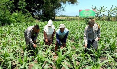 Polsek-Balongbendo-Dukung-Program-Ketahanan-Pangan-Lewat-Pekarangan-Bergizi