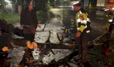 Polsek-Balongbendo-Evakuasi-Pohon-Tumbang,-Arus-Lalu-Lintas-Kembali-Lancar