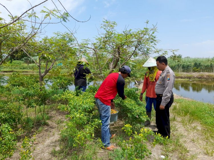 Bhabinkamtibmas Koordinasi dengan Warga Terkait Program Pekarangan Pangan Bergizi di Desa Permisan