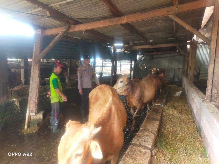 Polsek Taman Polresta Sidoarjo Terus Dukung Warga Kembangkan Peternakan Sapi untuk Ketahanan Pangan