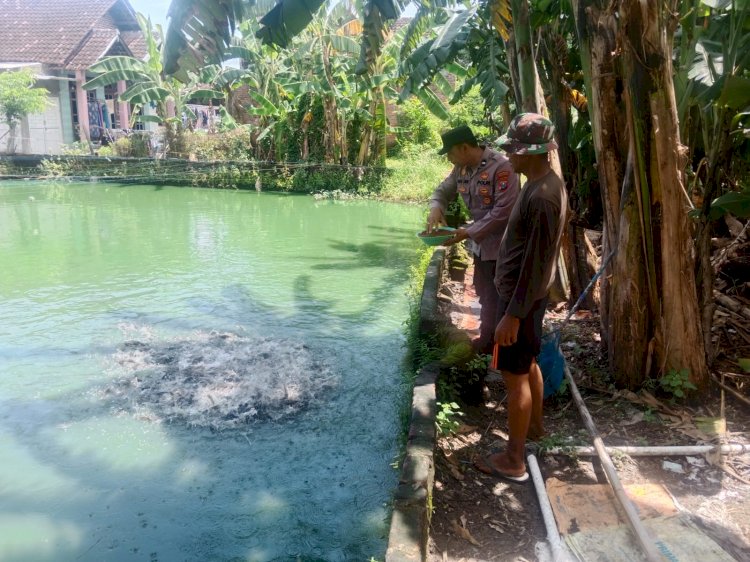 Sat Binmas Polresta Sidoarjo Apresiasi Warga Budidaya Lele Manfaatkan Pekarangan Kosong untuk Dukung Ketahanan Pangan