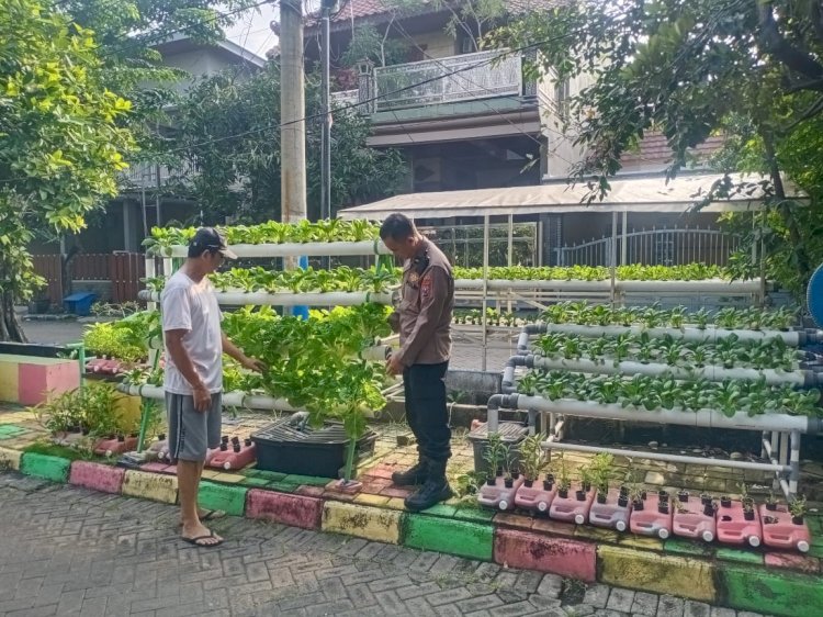 Warga Perum MCG Giatkan Tanaman Hidroponik, Disambut Baik Bhabinkamtibmas Desa Larangan