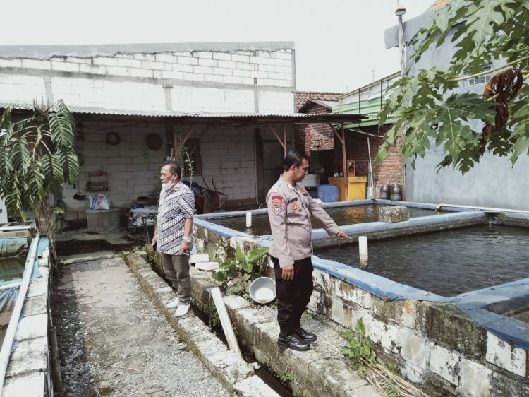 Bhabinkamtibmas Cek Efektivitas Lahan Pekarangan Pangan Bergizi Ikan Lele di Desa Durungbedug