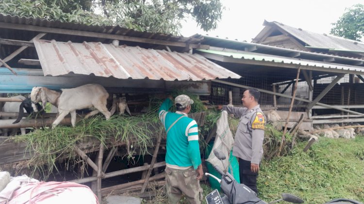 Bhabinkamtibmas Sukodono Patroli Ketahanan Pangan Nasional di Pedesaan
