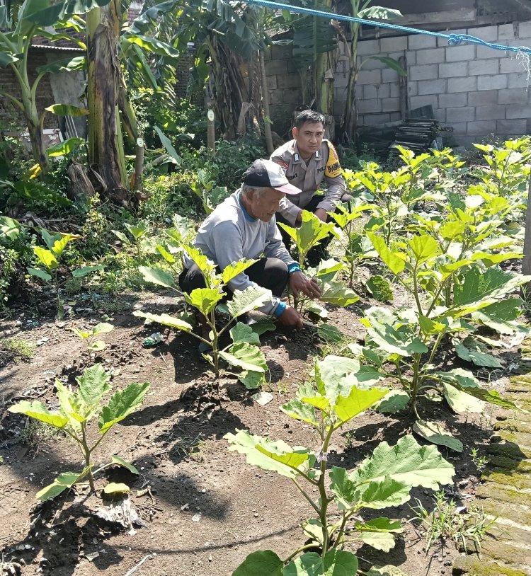 Bhabinkamtibmas Desa Jemirahan Koordinasi dengan Petani Dukung Ketahanan Pangan Nasional