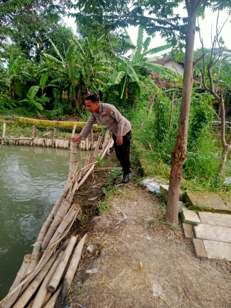 Bhabinkamtibmas Berharap Budidaya Ikan Lele Turut Dukung Ketahanan Pangan Nasional