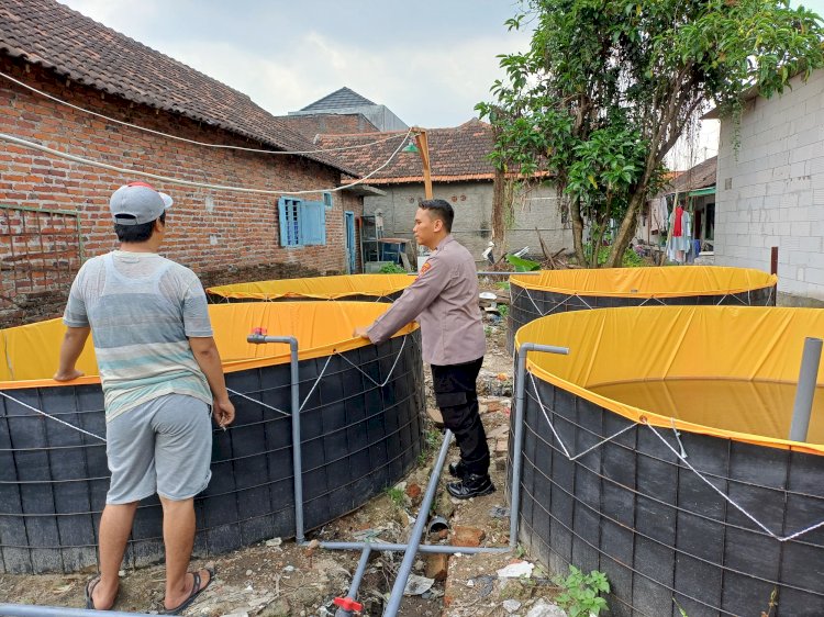 Semangat Ketahanan Pangan, Bhabinkamtibmas Apresiasi Warga Budidaya Lele Sistem Bioflok di Pekarangan Rumah