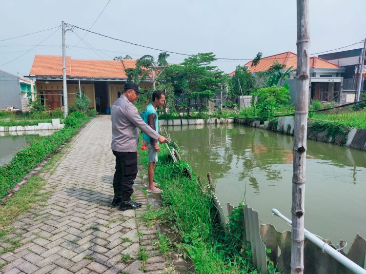 Bhabinkamtibmas dan Bumdes Bangsri Dukung Ketahanan Pangan Lewat Budidaya Ikan Patin dan Nila