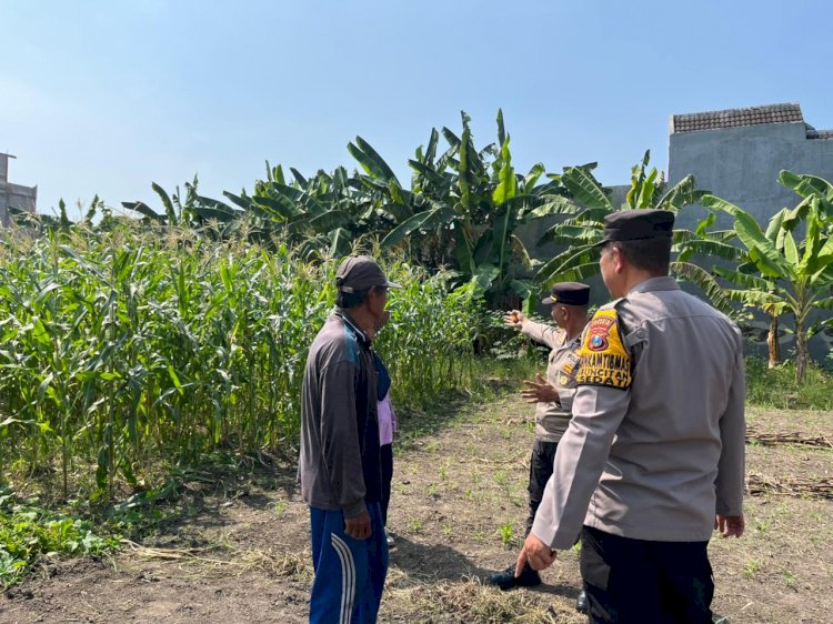 Polresta Sidoarjo Gelorakan Swasembada Pangan Melalui Program P2B