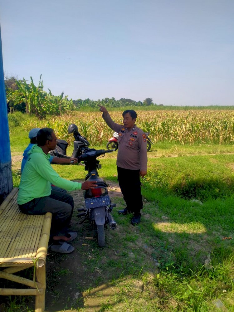 Perkuat Swasembada Pangan, Polsek Prambon Sidoarjo Tinjau Kesiapan Lahan Jagung di Desa Bulang